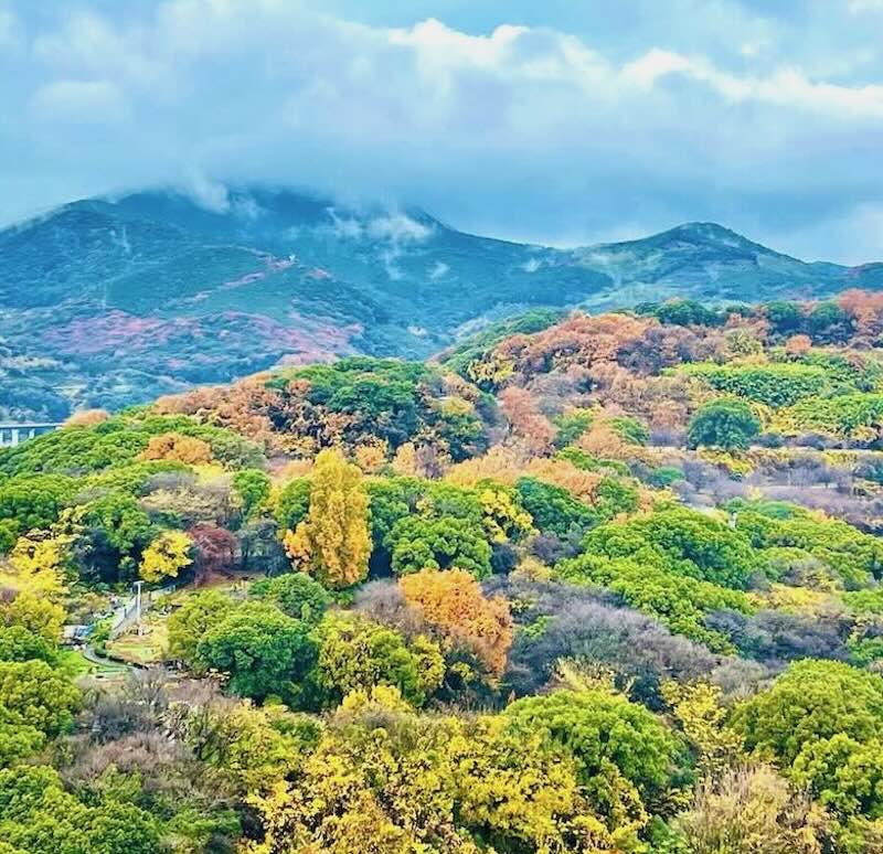 MJR熊本ザ・タワーのスカイラウンジ