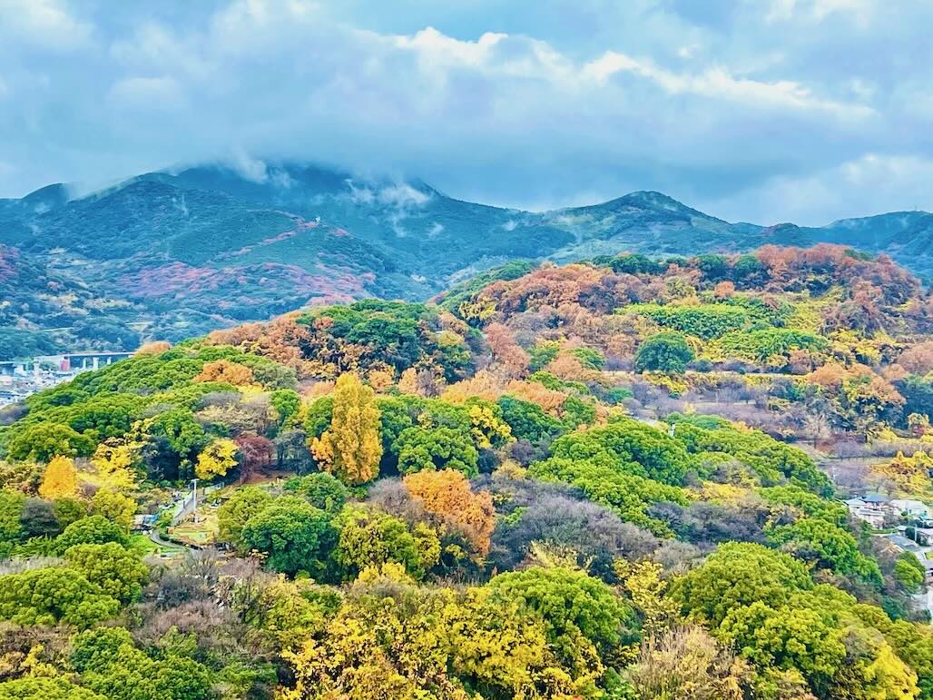 晩秋の花岡山